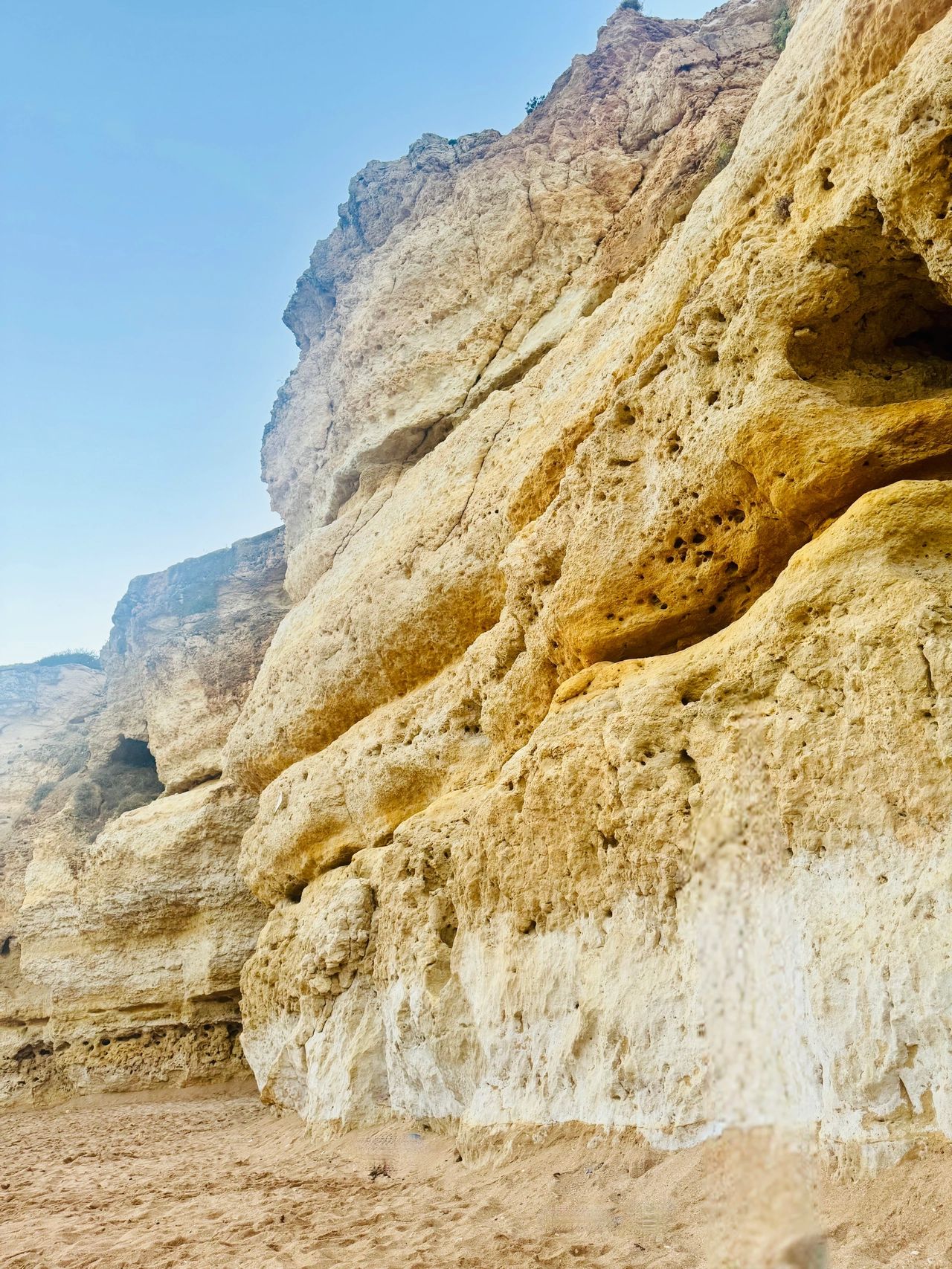 Falaise de la Praia da Coelha